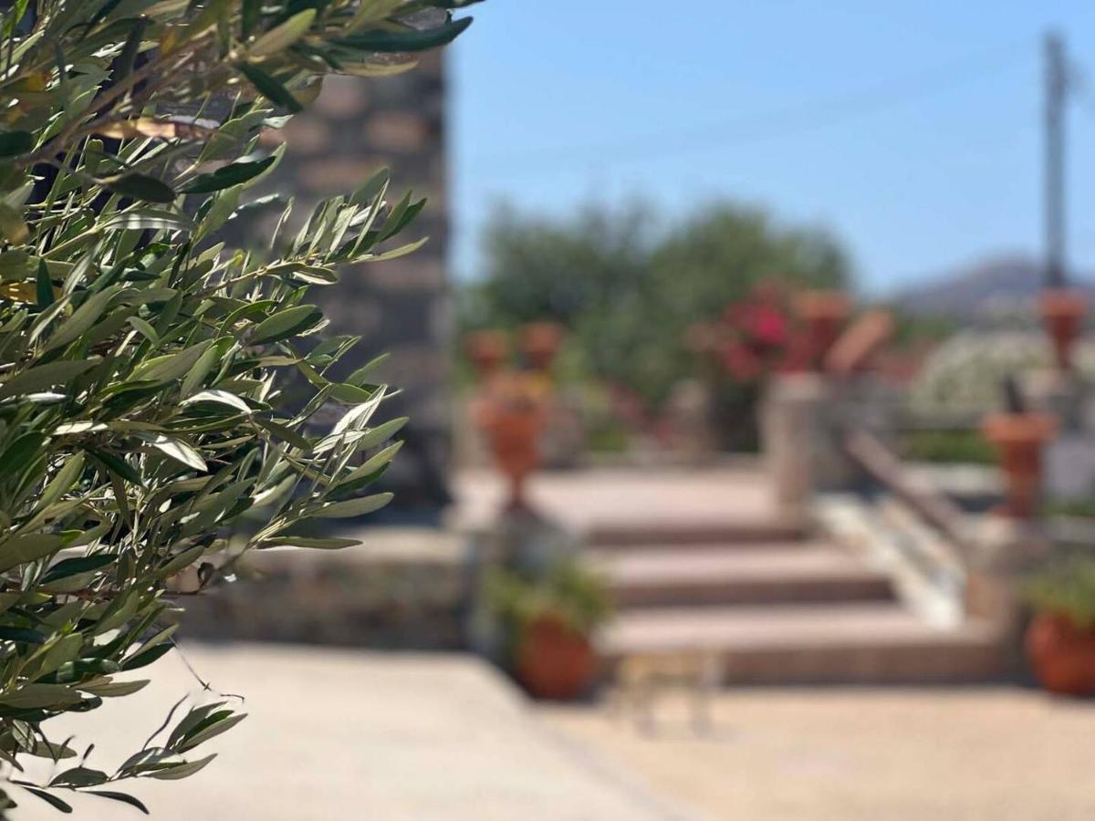 Πέτρινο Εξοχικό Σπίτι Στη Σύρο Agros  Eksteriør bilde